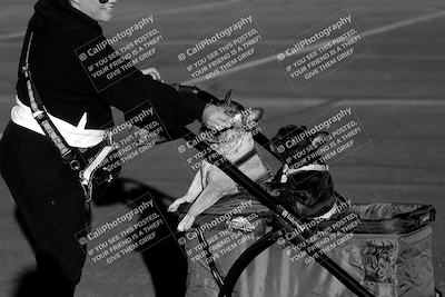 media/Oct-14-2023-Lucky Dog Racing (Sat) [[cef75db616]]/1-Around the Pits/